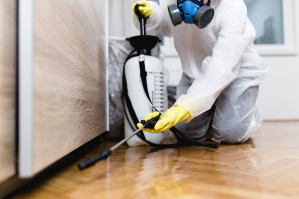 Best Mosquito Control Services  in Iona, ID
