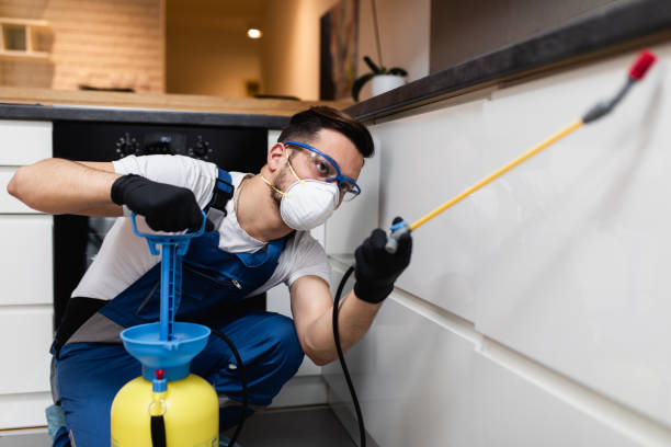 Best Best Pest Control Companies  in Iona, ID