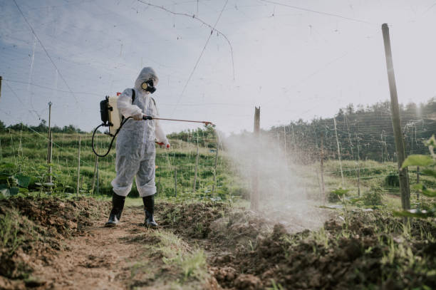 Pest Control Cost in Iona, ID