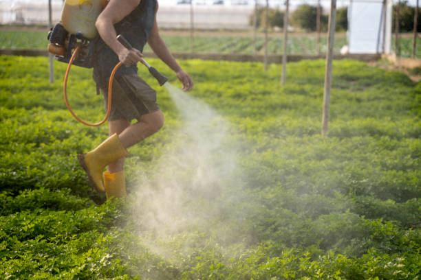 Best Insect Control  in Iona, ID