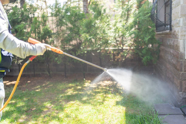 Best Pest Removal Services  in Iona, ID