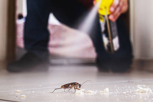 Best Pest Removal Services  in Iona, ID